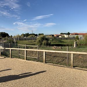 Lion Enclosure at Yorkshire Wildlife Park (October 2021)