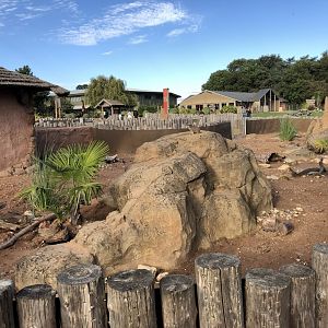 Meerkat Enclosure at Yorkshire Wildlife Park (October 2021)