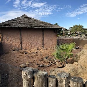Meerkat Enclosure at Yorkshire Wildlife Park (October 2021)