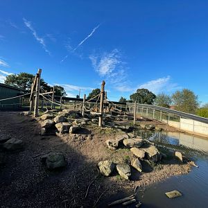 Guinea Baboon Enclosure at Yorkshire Wildlife Park (October 2021)