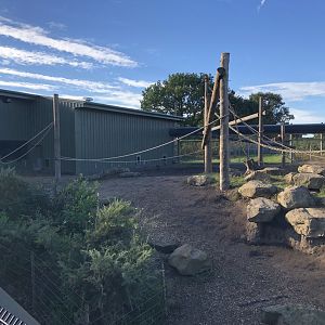 Guinea Baboon Enclosure at Yorkshire Wildlife Park (October 2021)
