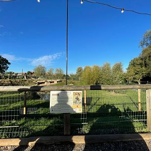 African Painted Dog Enclosure at Yorkshire Wildlife Park (October 2021)