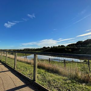 Polar Bear Enclosure at Yorkshire Wildlife Park (October 2021)