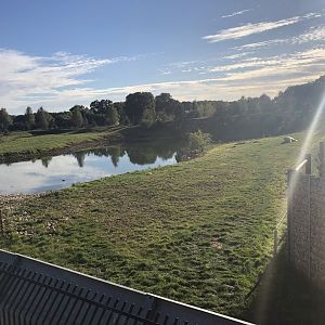 Polar Bear Enclosure at Yorkshire Wildlife Park (October 2021)