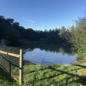 Giant Otter Enclosure at Yorkshire Wildlife Park (October 2021)