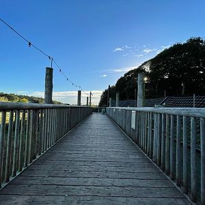 General View of Land of the Tiger at Yorkshire Wildlife Park (October 2021)