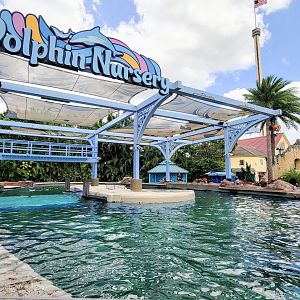 May. 2021 - Dolphin Nursery