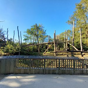 Bioparc Zoo de Doué - Spectacled bear exhibit