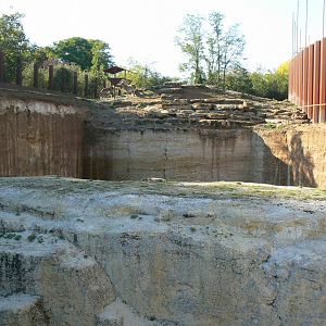 Bioparc Zoo de Doué - Markhor exhibit - where is the alpine marmot ?