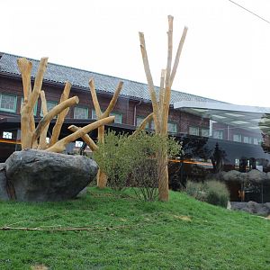 Lion Exhibit (East Side) - Pepper Family Wildlife Center