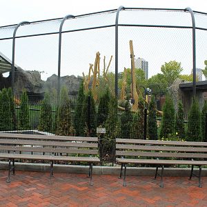 Lion Exhibit (East Side) - Pepper Family Wildlife Center