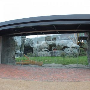 Lion Exhibit (West Side) - Pepper Family Wildlife Center