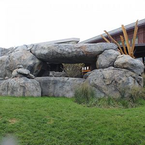 Lion Exhibit (West Side) - Pepper Family Wildlife Center