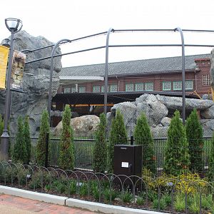 Lion Exhibit (West Side) - Pepper Family Wildlife Center