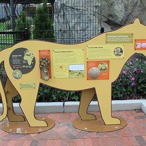 Lion Signage - Pepper Family Wildlife Center