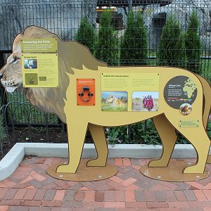Lion Signage - Pepper Family Wildlife Center