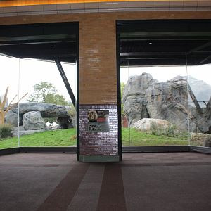 Lion Exhibit Viewing (West Side) - Pepper Family Wildlife Center