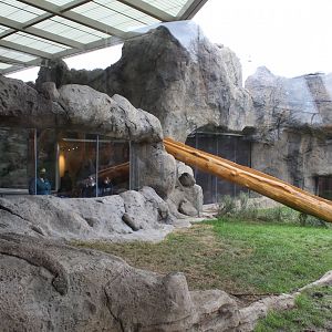 Lion Exhibit (East Side) - Pepper Family Wildlife Center