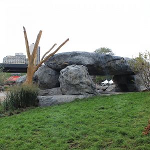 Lion Exhibit (West Side) - Pepper Family Wildlife Center