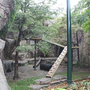Red Panda Exhibit - Pepper Family Wildlife Center