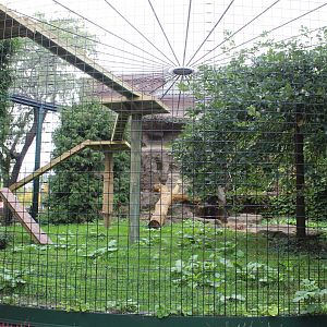 Snow Leopard Exhibit #1 - Pepper Family Wildlife Center
