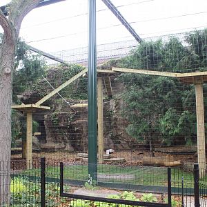 Snow Leopard Exhibit #2 - Pepper Family Wildlife Center