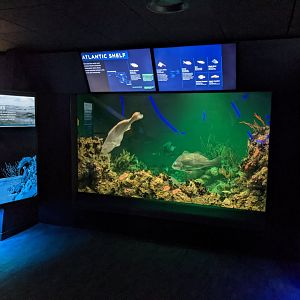 Maryland: Mountains to the Sea