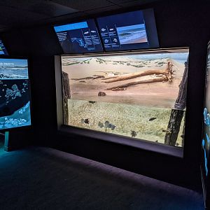 Maryland: Mountains to the Sea