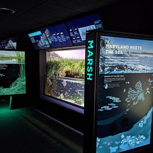 Maryland: Mountains to the Sea