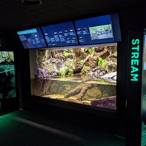 Maryland: Mountains to the Sea