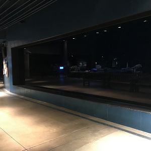 Hawaiian Monk Seal Exhibit at Night.