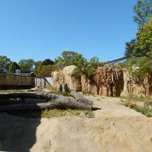 9/27/2021 - Hippo Haven - Above Water View