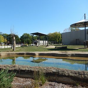9/27/2021 - African Elephant Habitat