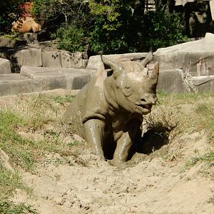 9/27/2021 - Ahh, Mud!