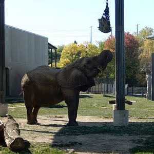 9/27/2021 - Browsing Belle