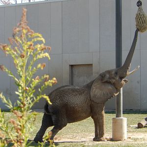 9/27/2021 - Just a Little Stretching...