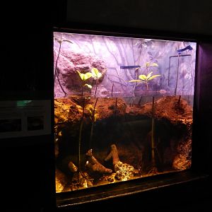 9/27/2021 - New Tank?