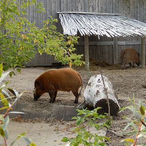 9/27/2021 - Mort and Dudley