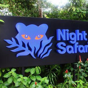New Night Safari logo