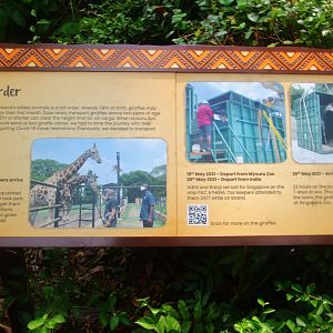 Signage on the transport of giraffes