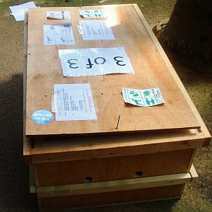 New arrivals from Chester Zoo