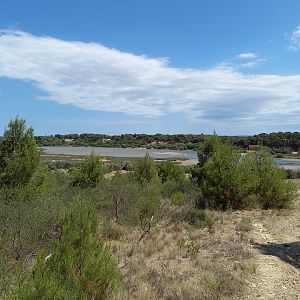 Réserve Africaine de Sigean - View towards the park from outside