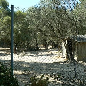 Réserve Africaine de Sigean - Pedestrian area - Cuvier's gazelles enclosure