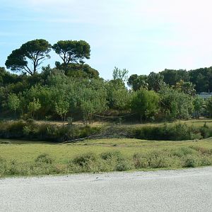 Réserve Africaine de Sigean - Safari drive through - Lar gibbons island