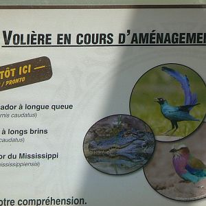 Réserve Africaine de Sigean - Pannel announcing future mixed aviary for birds and alligators
