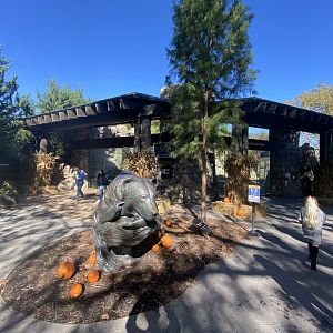 Oct. 2021 - Grizzly Ridge - Left Viewing