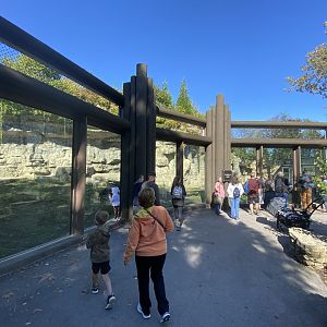 Oct. 2021 - Grizzly Ridge - Middle Viewing