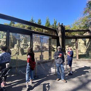 Oct. 2021 - Grizzly Ridge - Right Viewing