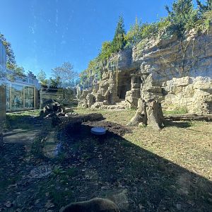 Oct. 2021 - Grizzly Ridge