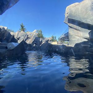 Oct. 2021 - Polar Bear Point